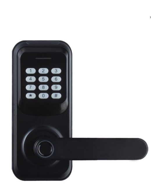 PIN Code Password Door Locks Fingerprint Identification Easy Setting